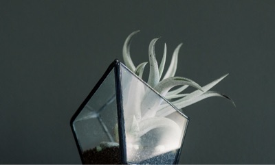 07. ποτε θα είμαι έτοιμος να ξεκινήσω την επιχείρησή μου;